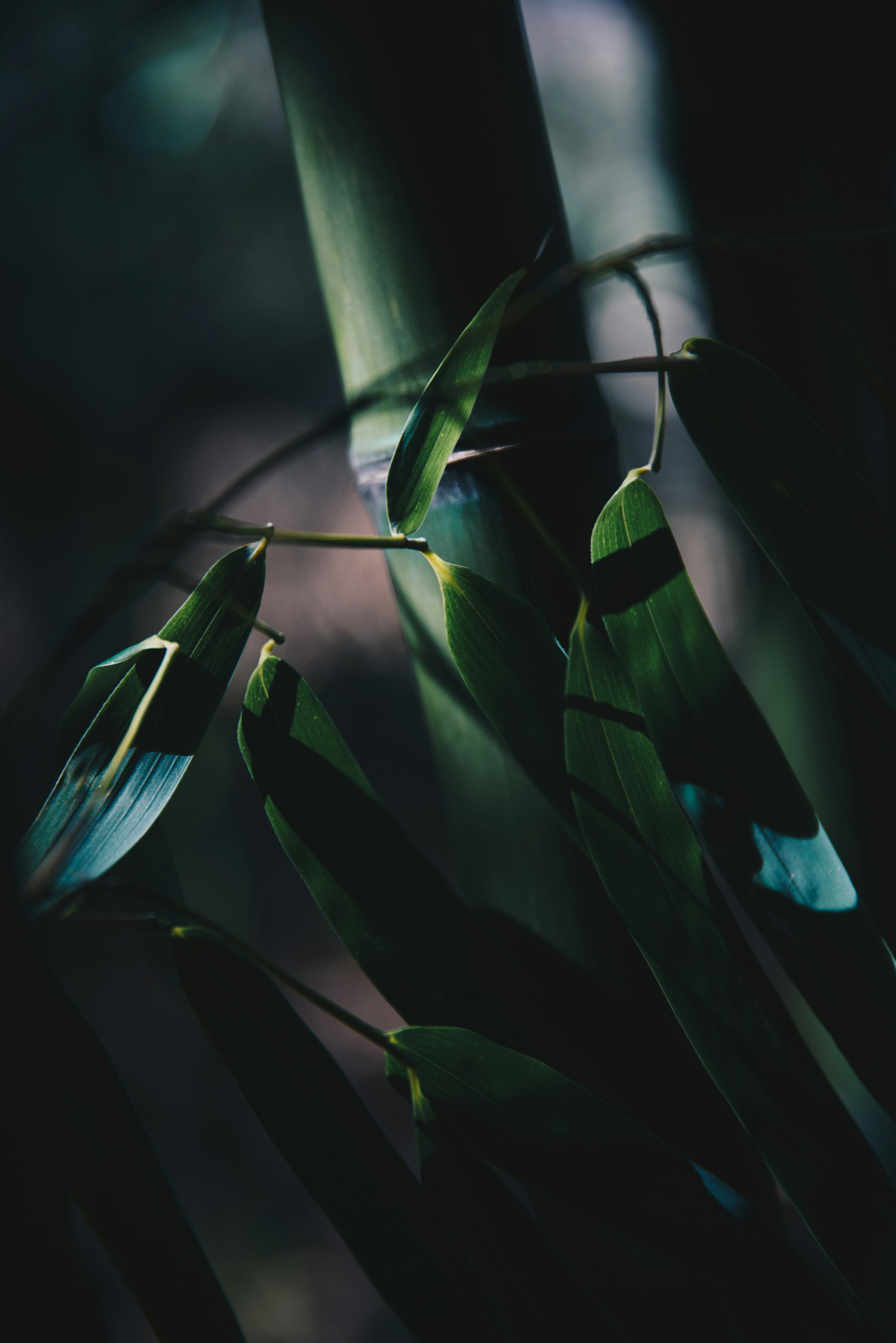 Background texture